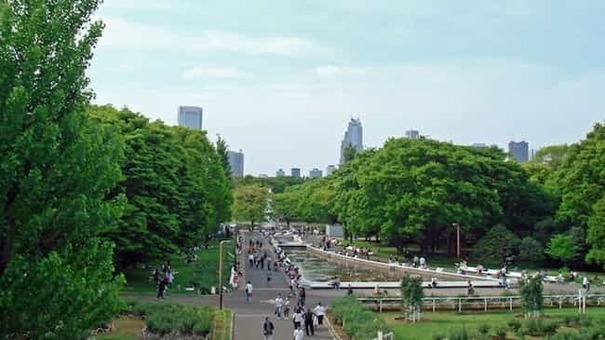 Mainstreet yoyogipark 1528087982